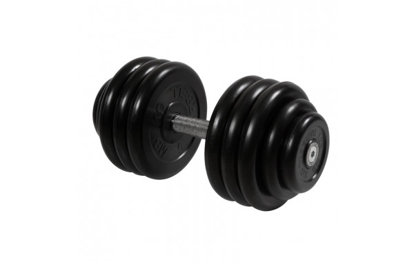 Гантель Профи, 38,5 кг MB Barbell MB-FdbM-B38,5 600_380