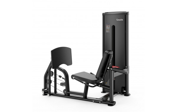 Жим ногами Smith Fitness DA016 600_380