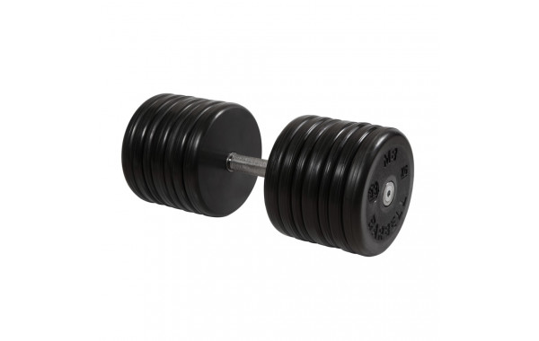 Гантель классик MB Barbell с вращающейся ручкой 59 кг MB-FdbEM-B59 600_380