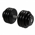 Гантель Профи, 38,5 кг MB Barbell MB-FdbM-B38,5 120_120